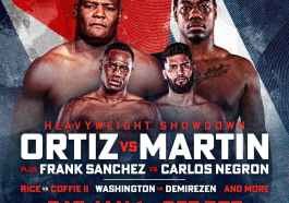 LUIS ORTIZ VS. CHARLES MARTIN