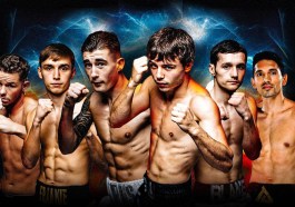 Probellum Undercard